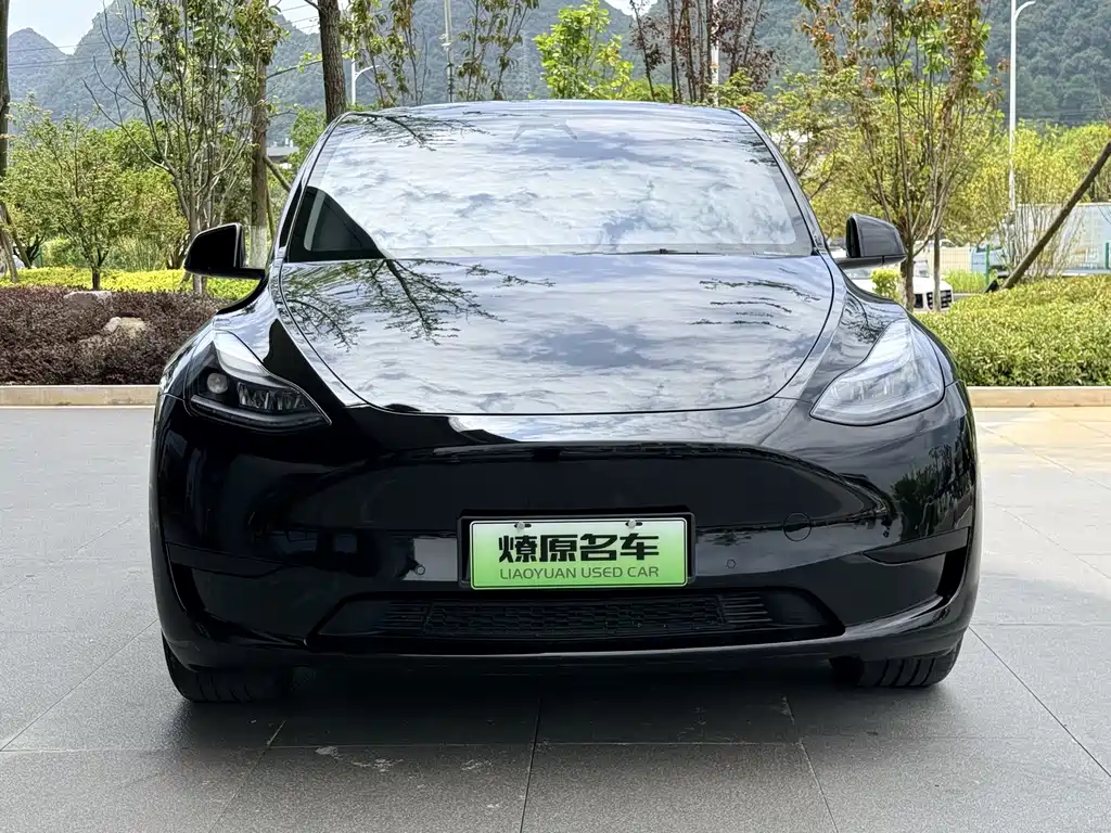 Tesla Model Y — фото 2