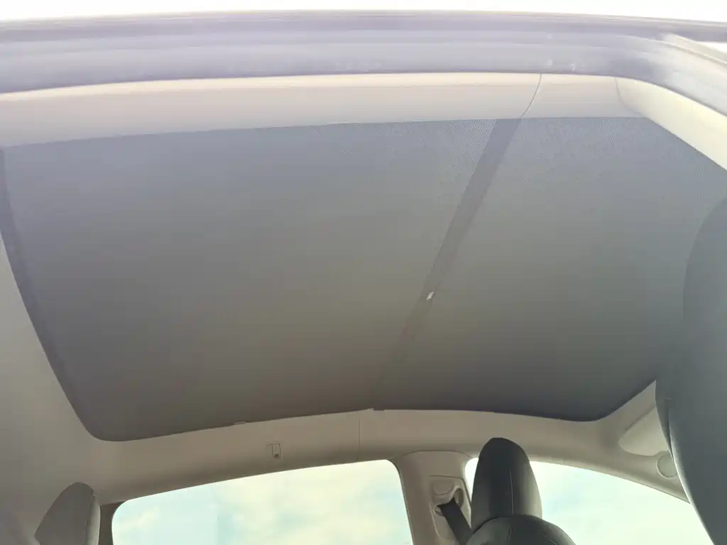 Tesla Model Y — фото 18