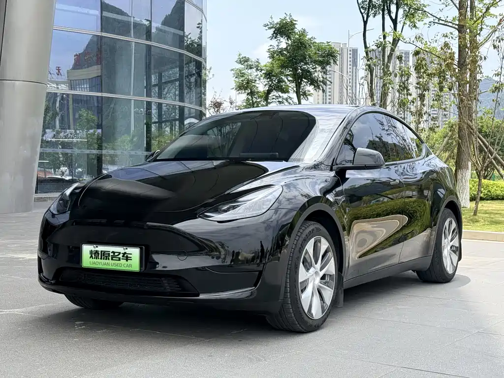 Tesla Model Y — фото 1