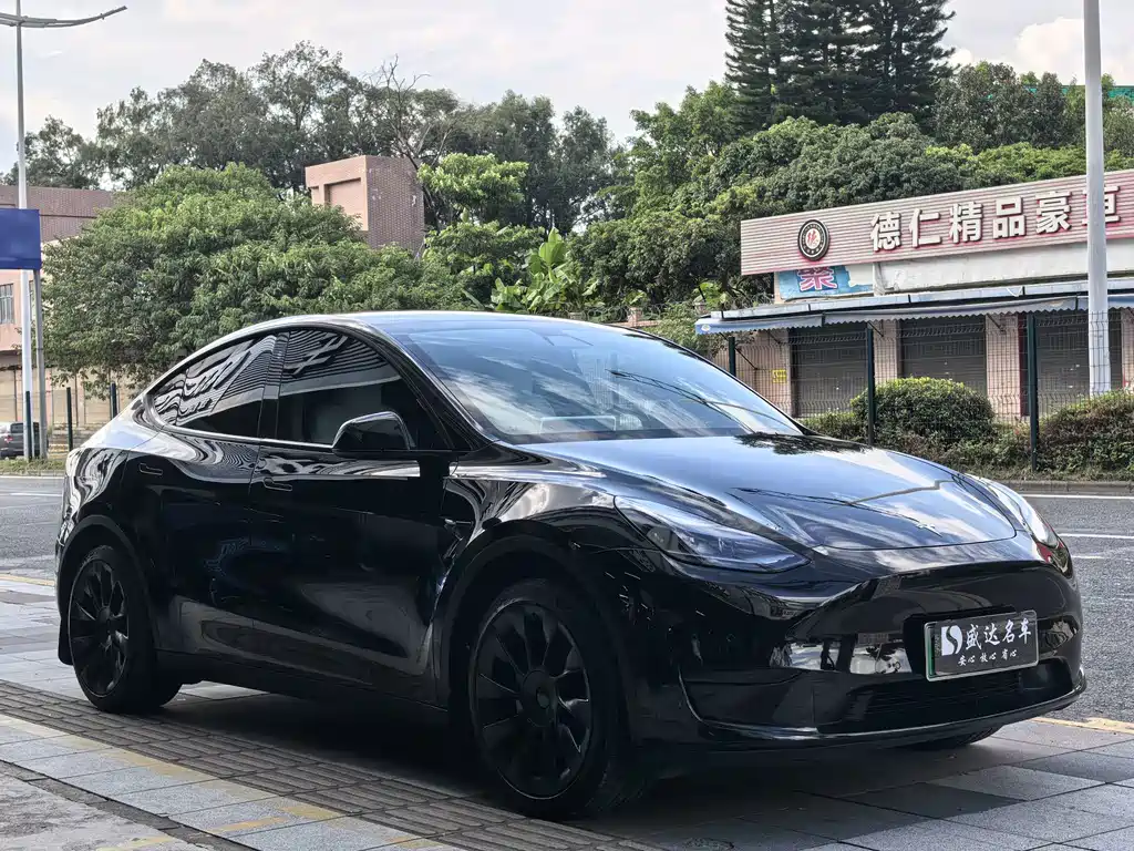 Tesla Model Y — фото 3
