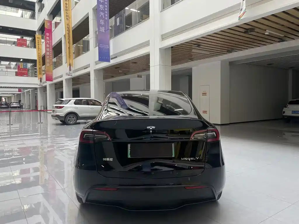Tesla Model Y — фото 3