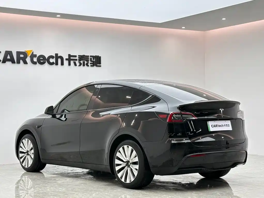 Tesla Model Y — фото 3