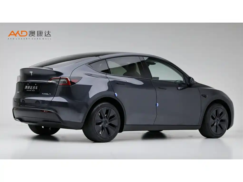 Tesla Model Y — фото 3