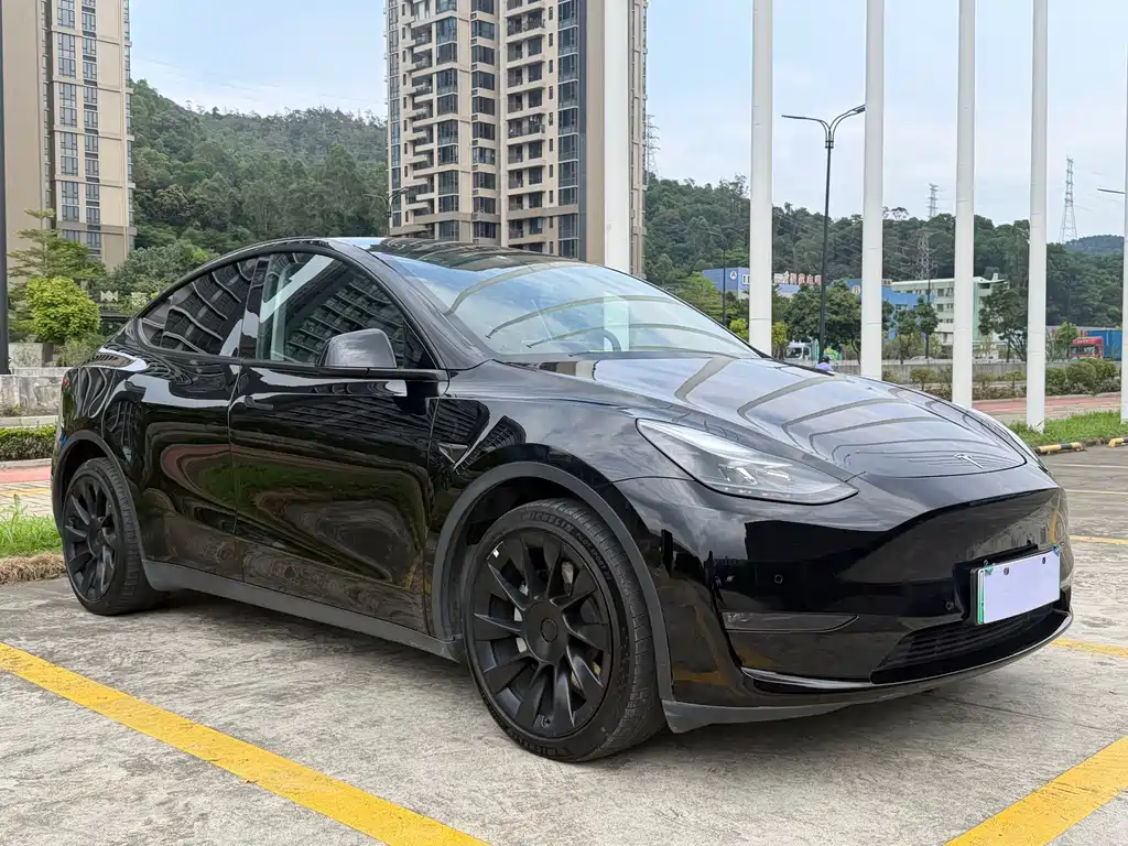 Tesla Model Y — фото 3