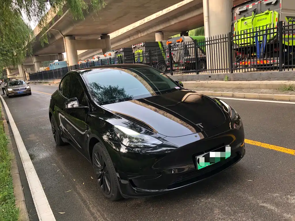 Tesla Model Y — фото 3