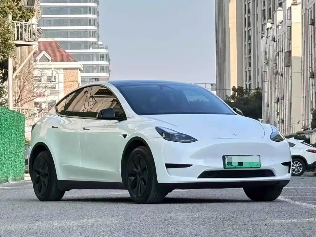 Tesla Model Y — фото 3