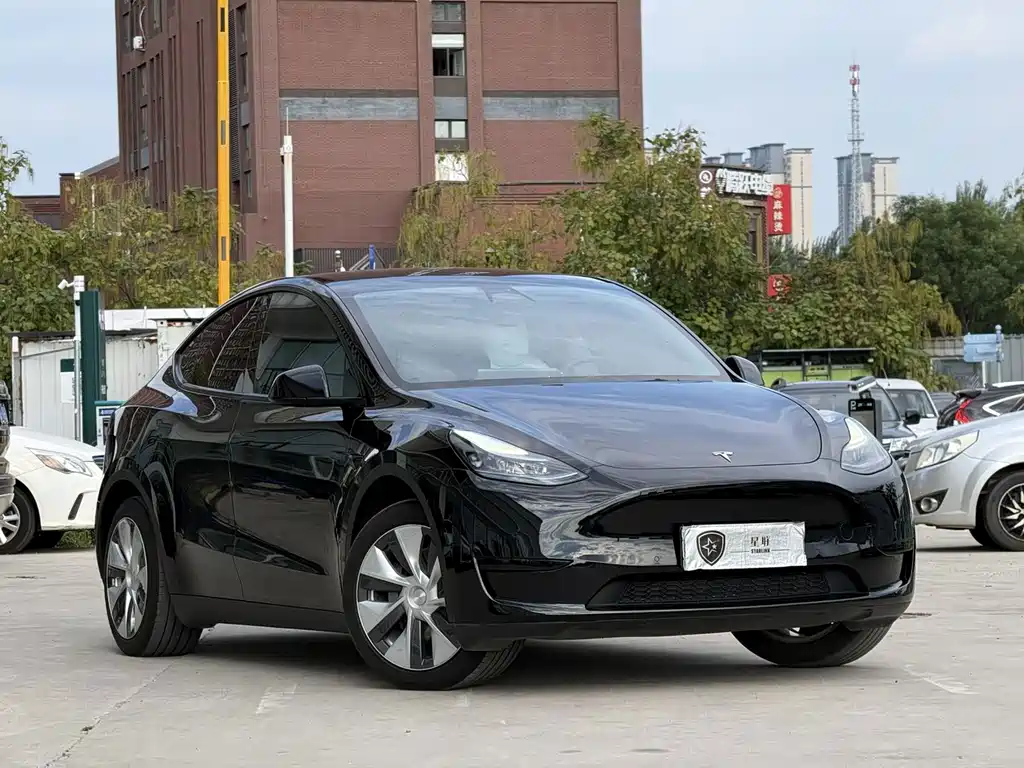 Tesla Model Y — фото 3