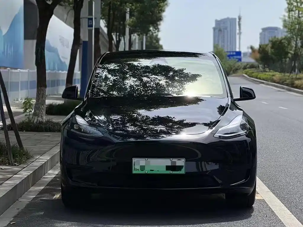 Tesla Model Y — фото 2