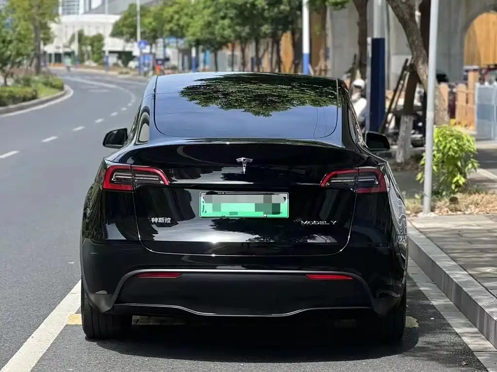 Tesla Model Y — фото 3