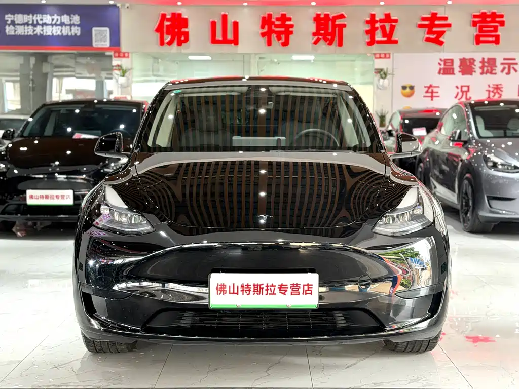 Tesla Model Y — фото 3