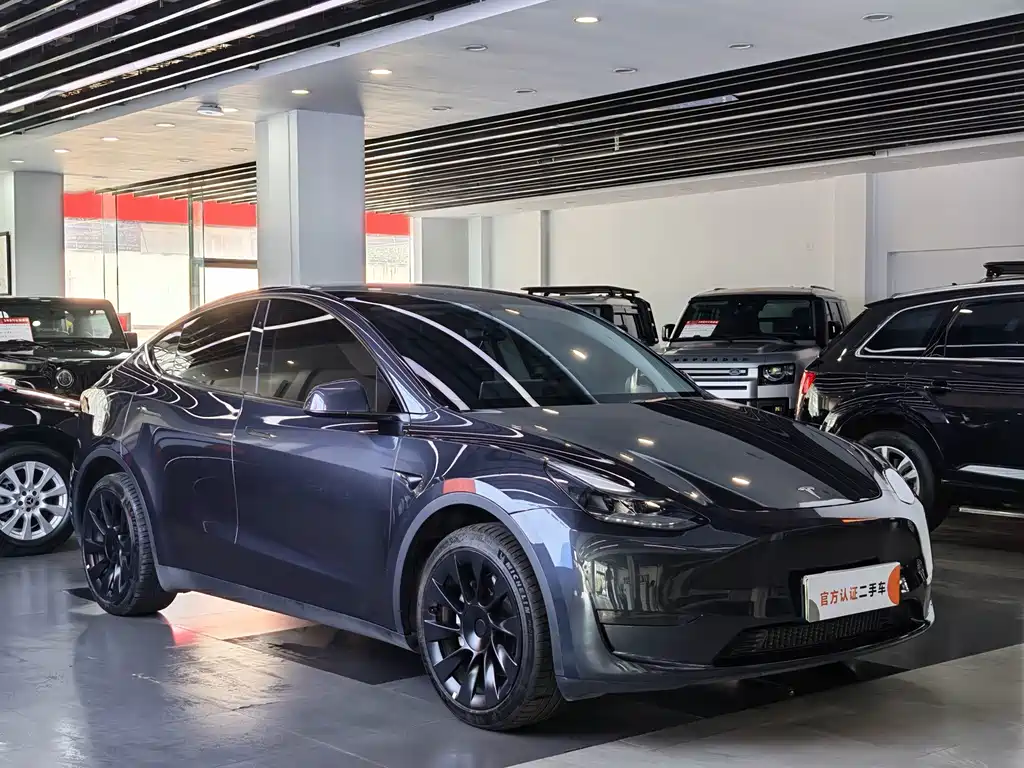 Tesla Model Y — фото 3