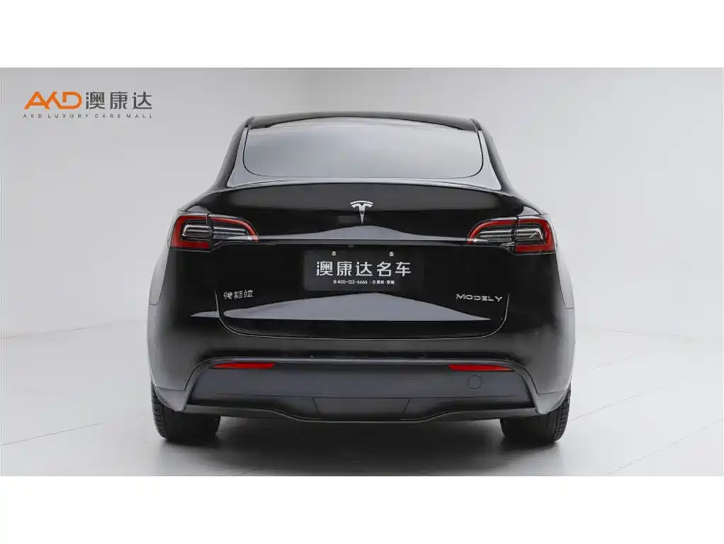 Tesla Model Y — фото 4