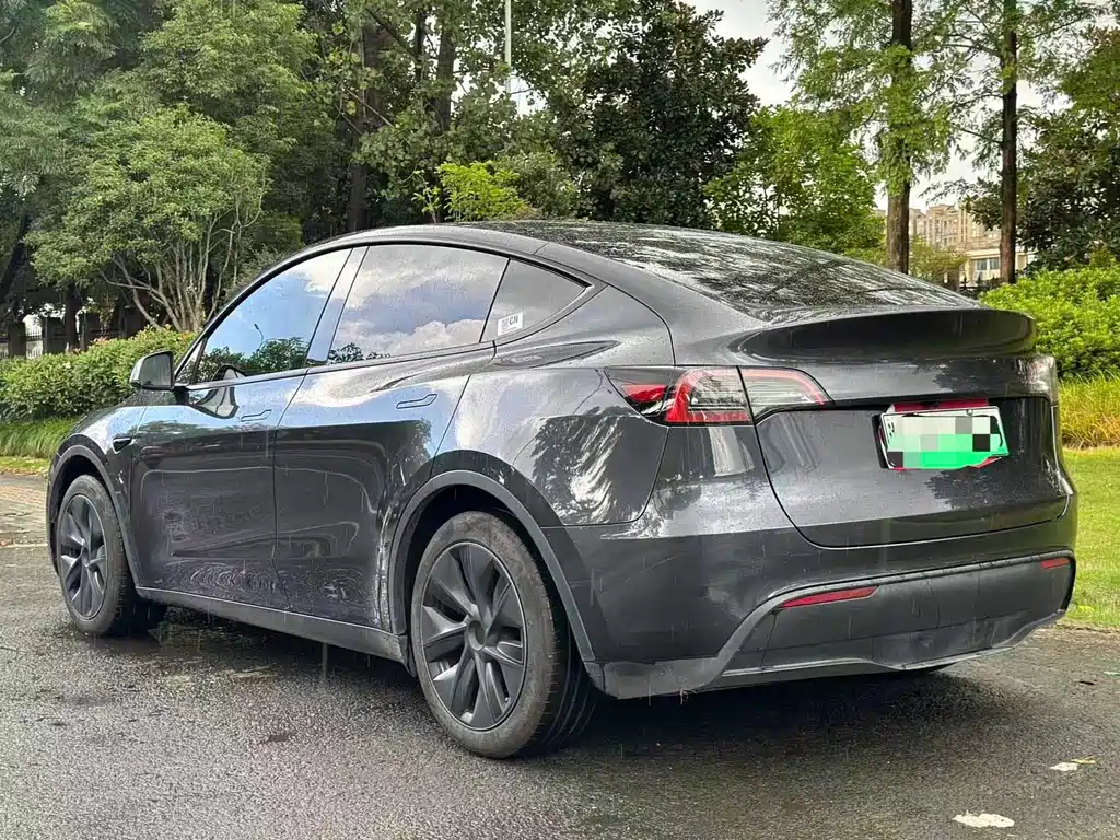Tesla Model Y — фото 3