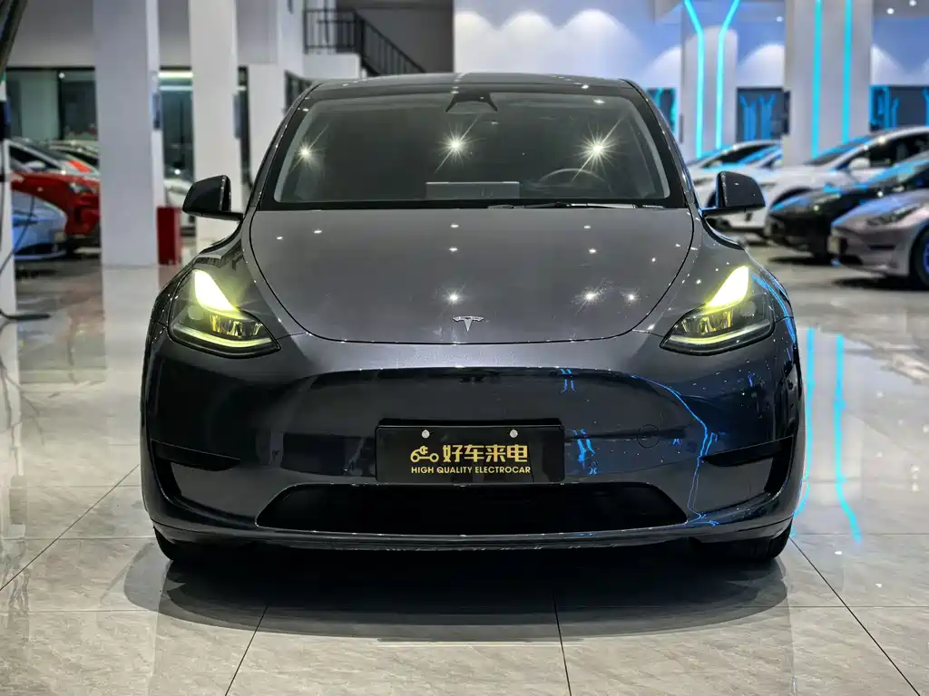 Tesla Model Y — фото 2