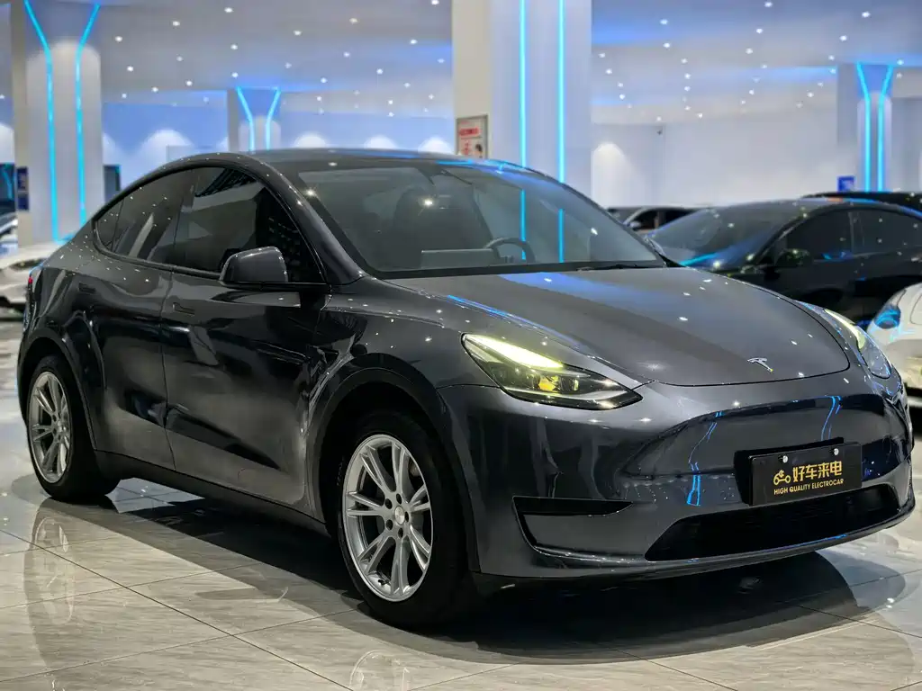 Tesla Model Y — фото 3