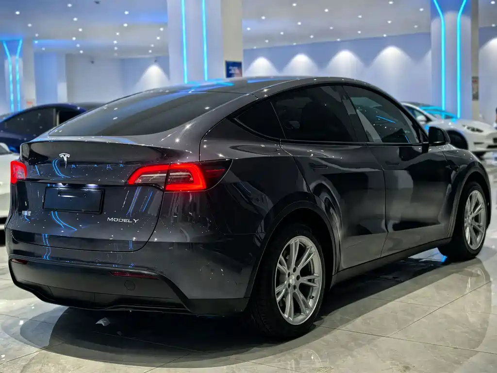 Tesla Model Y — фото 4