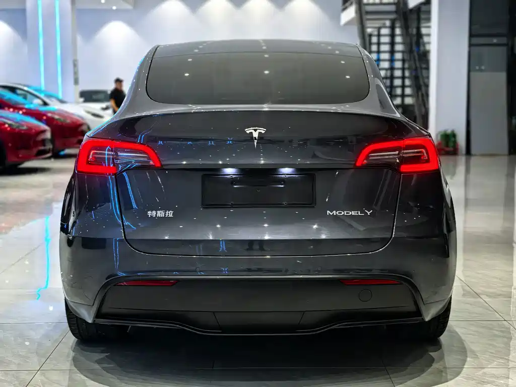 Tesla Model Y — фото 5