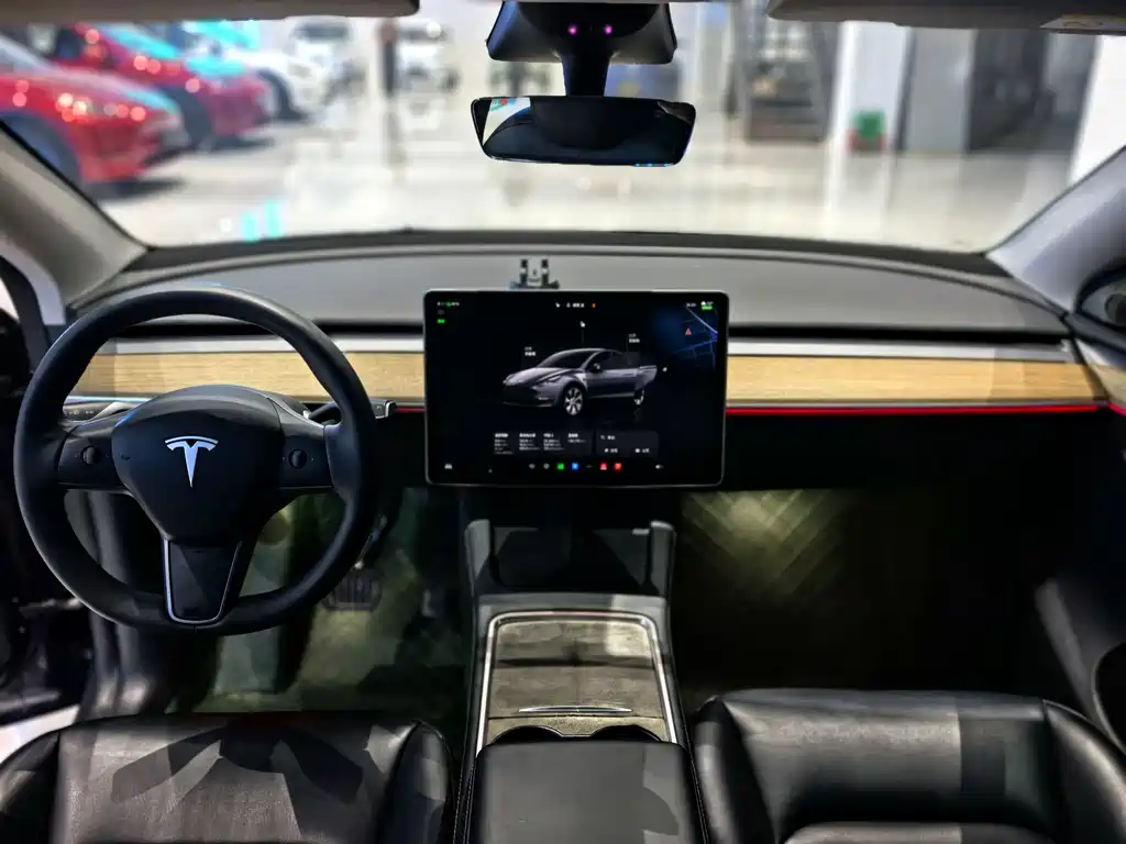 Tesla Model Y — фото 9