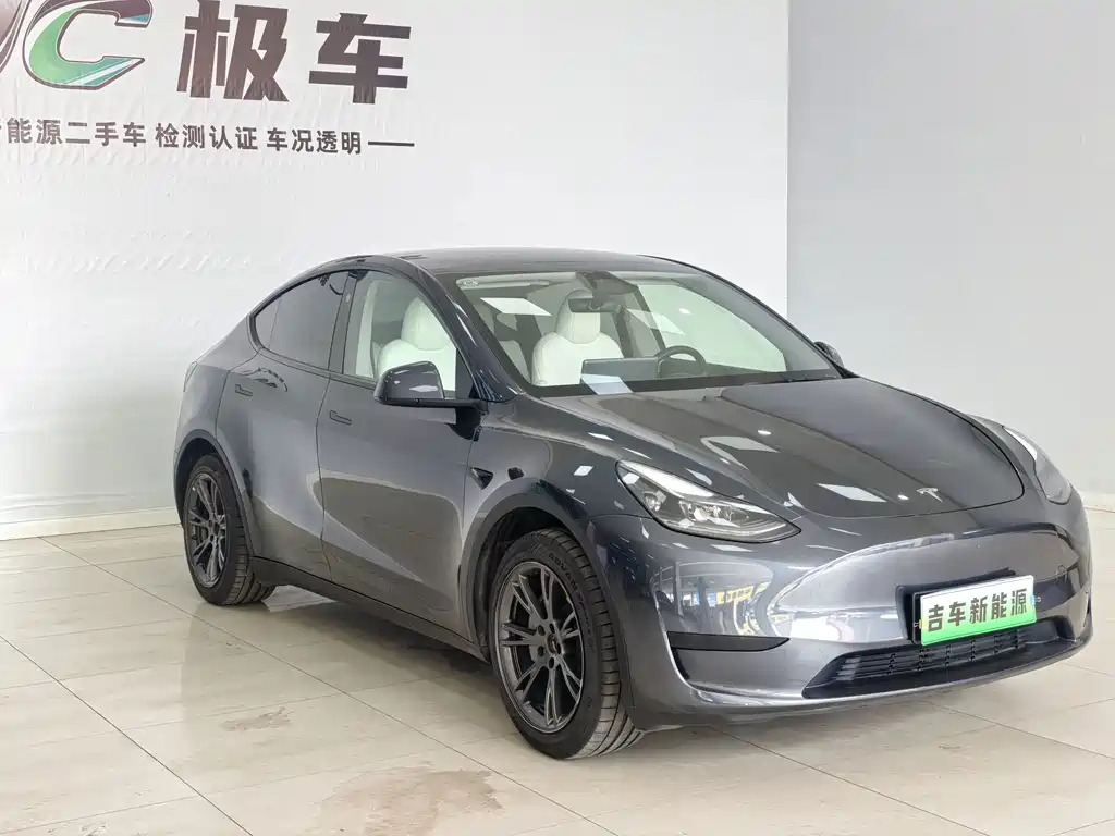 Tesla Model Y — фото 3