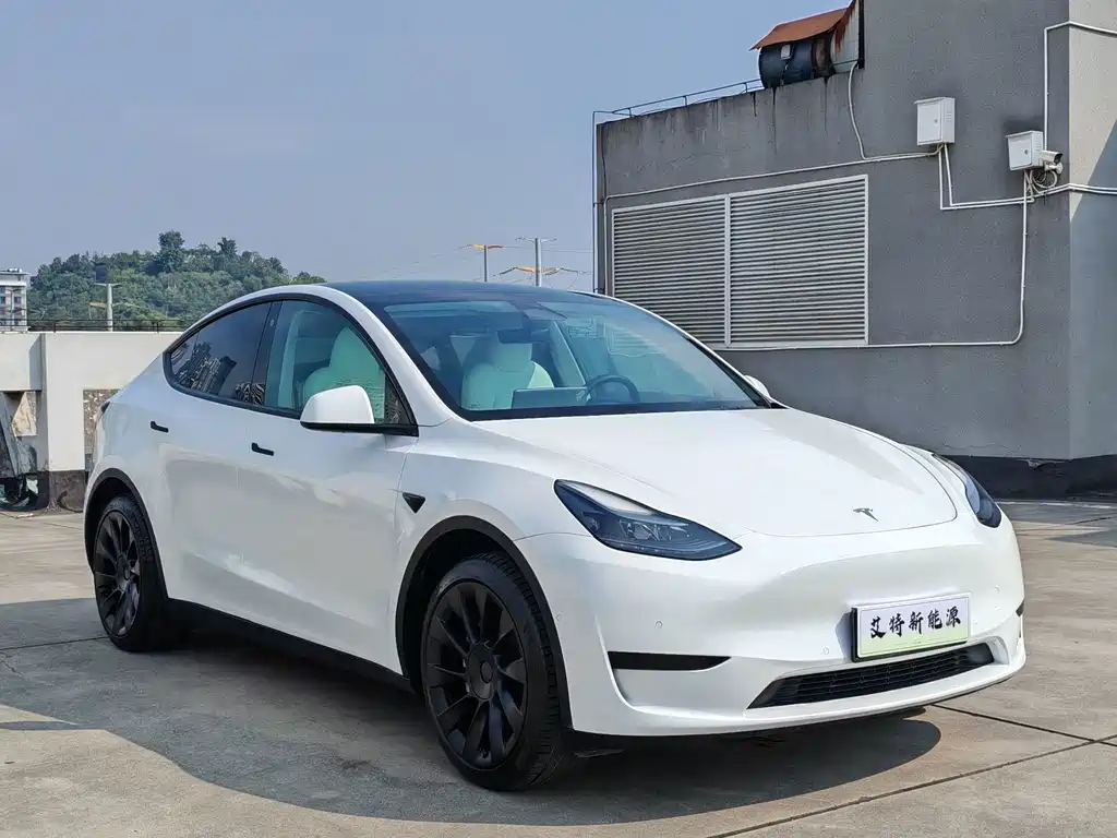 Tesla Model Y — фото 3