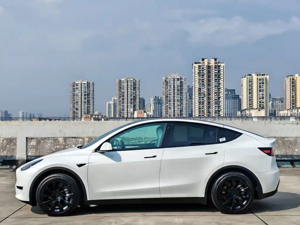 Tesla Model Y — фото 4