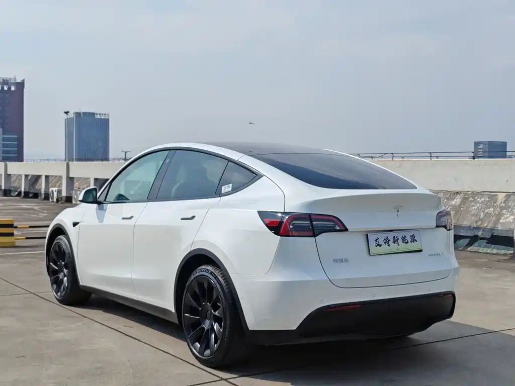 Tesla Model Y — фото 5