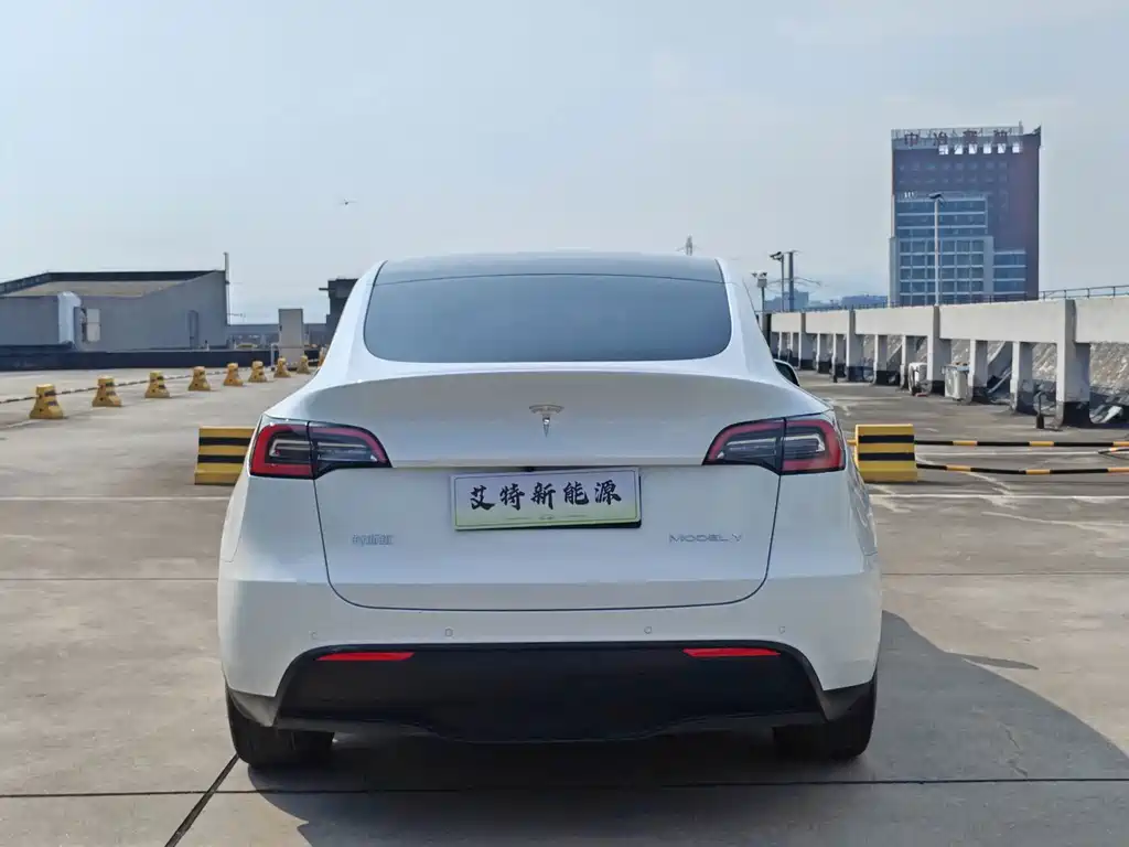 Tesla Model Y — фото 6