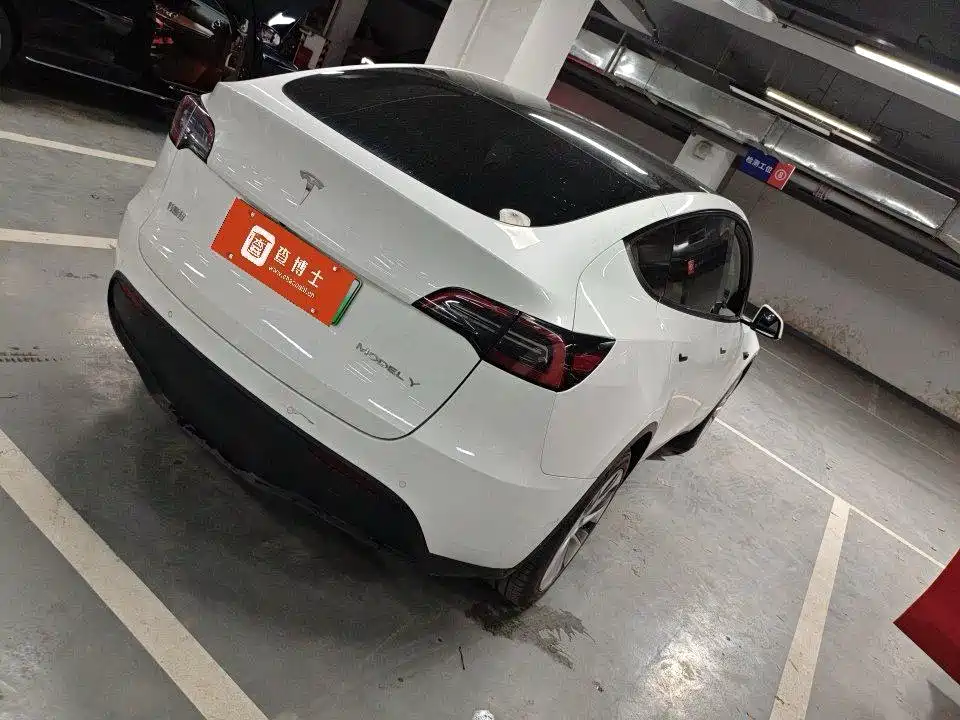 Tesla Model Y — фото 3