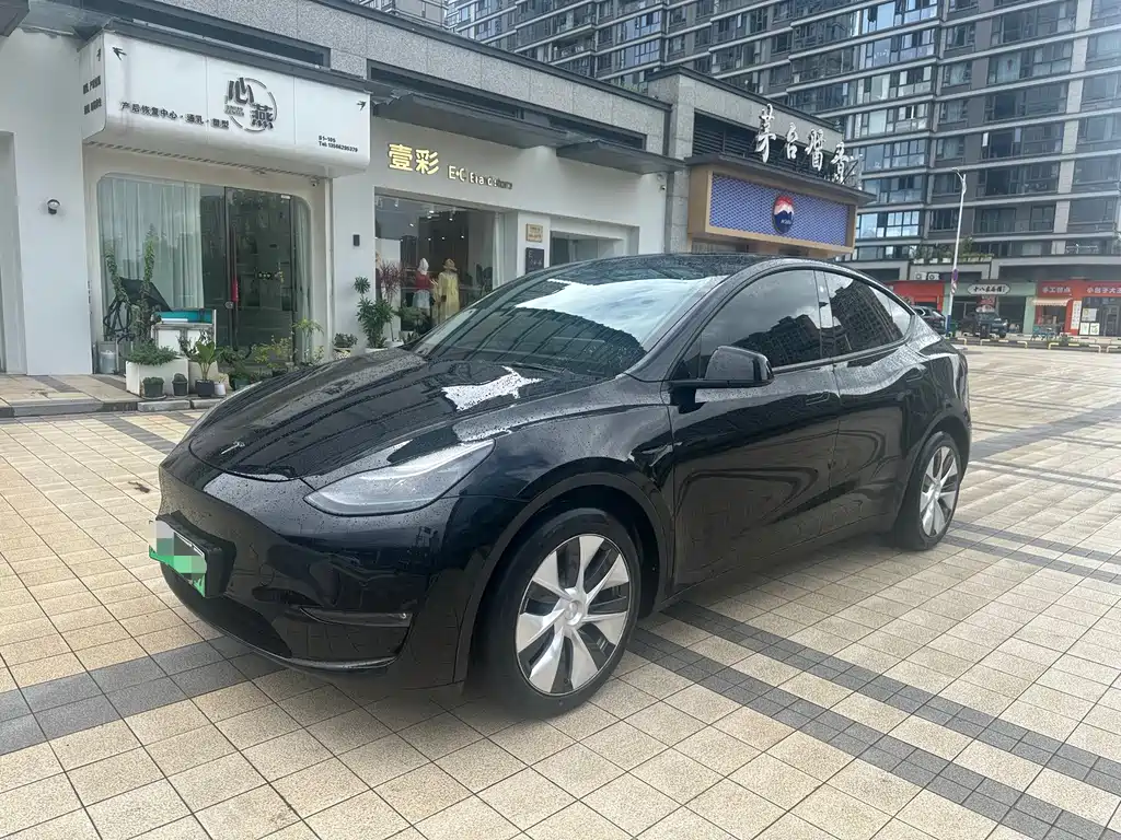 Tesla Model Y — фото 3