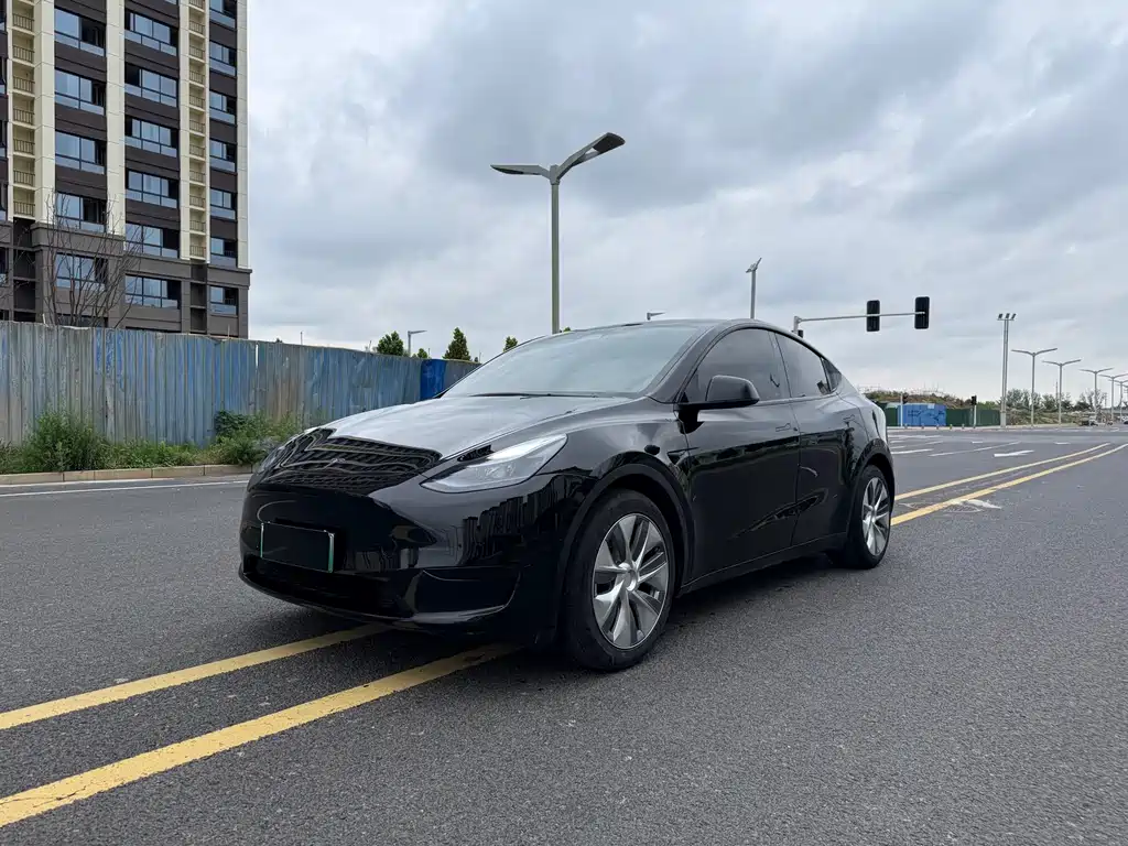 Tesla Model Y — фото 3