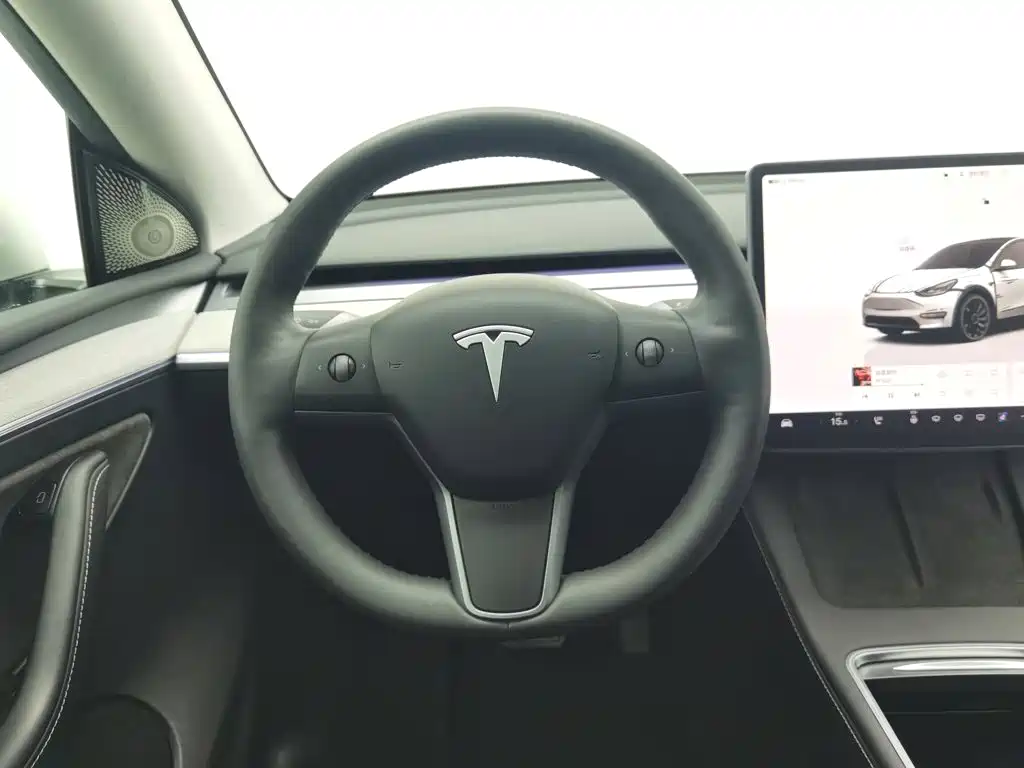 Tesla Model Y — фото 11