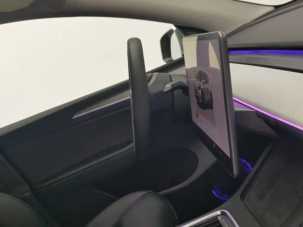 Tesla Model Y — фото 22