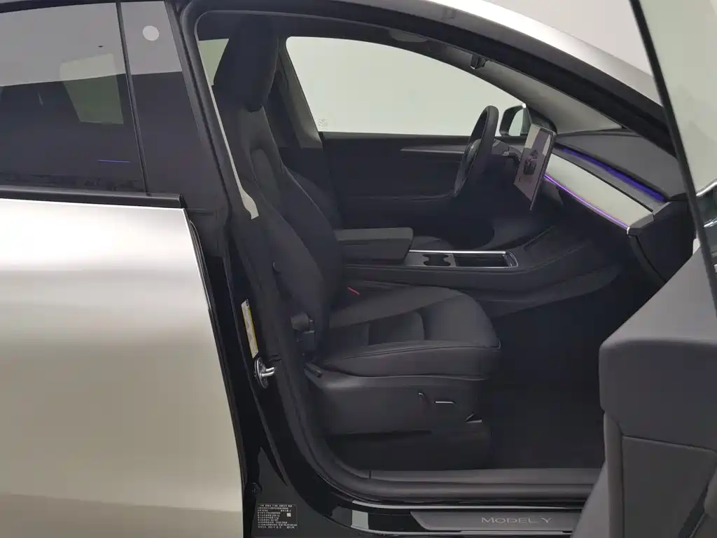 Tesla Model Y — фото 23