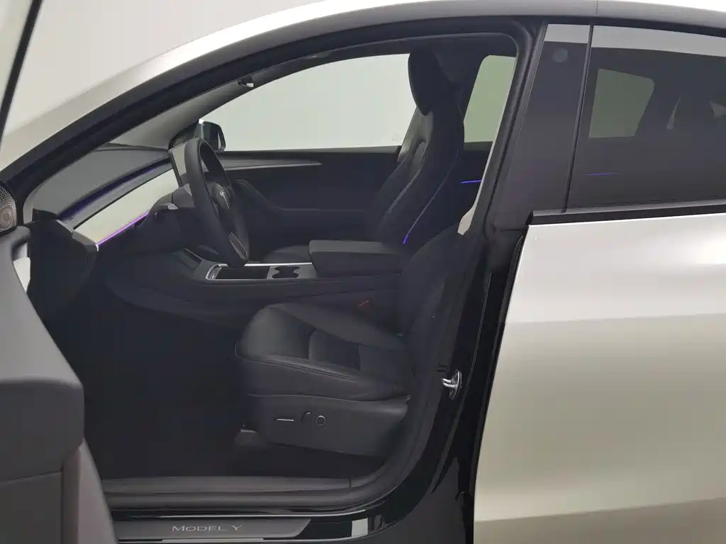 Tesla Model Y — фото 10