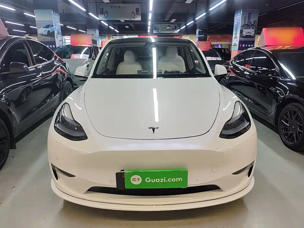 Tesla Model Y — фото 3