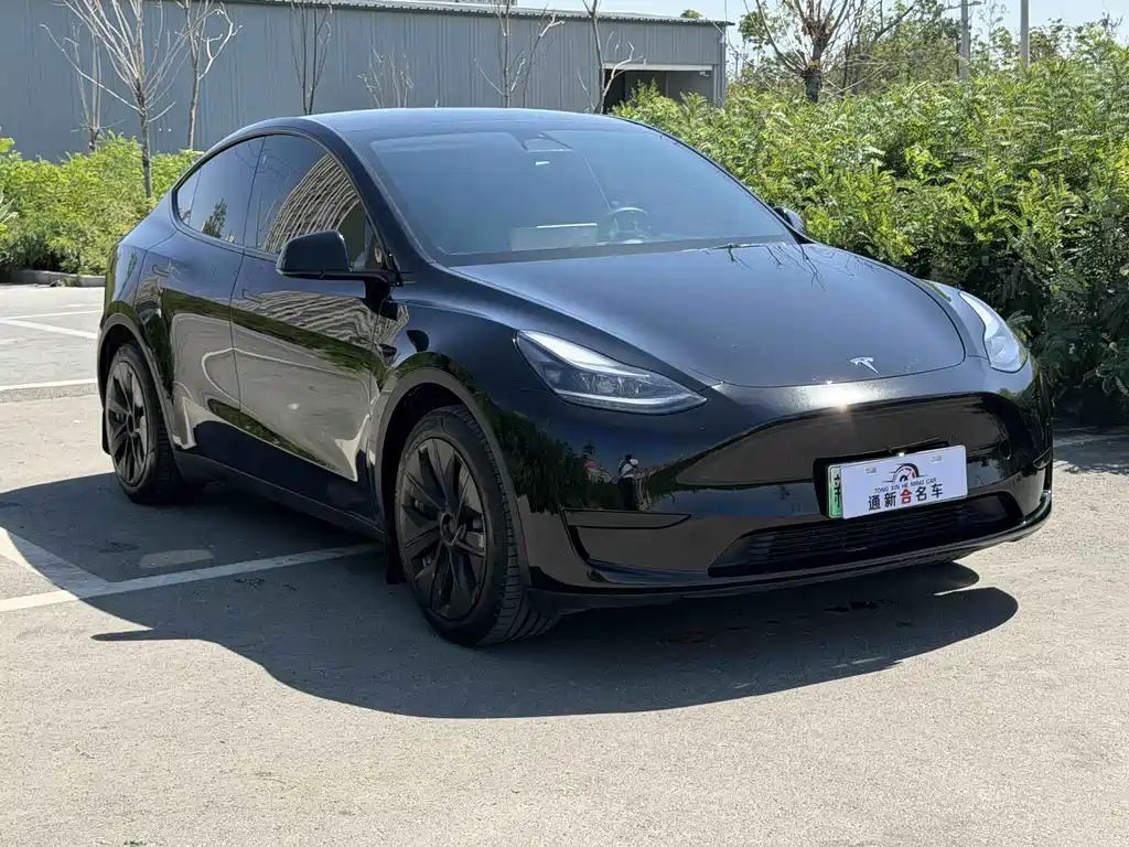 Tesla Model Y — фото 3