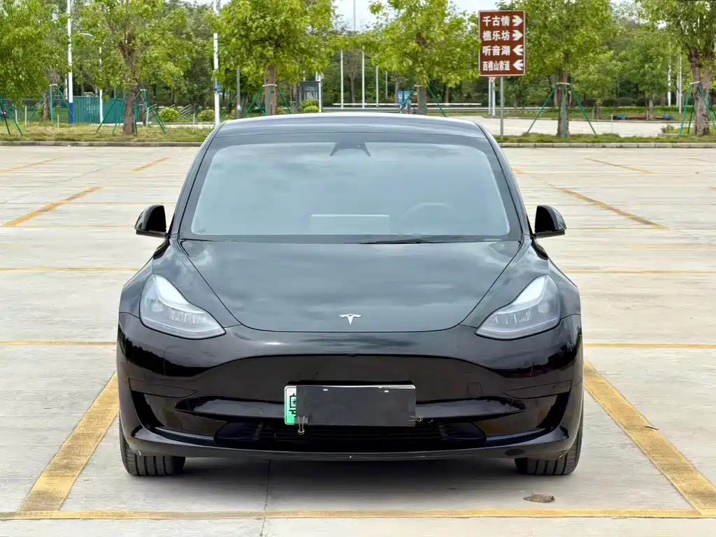Tesla Model 3 — фото 3