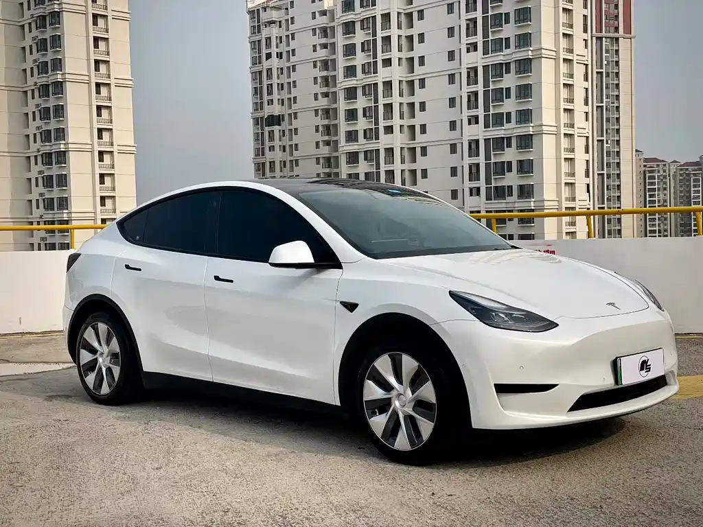 Tesla Model Y — фото 3