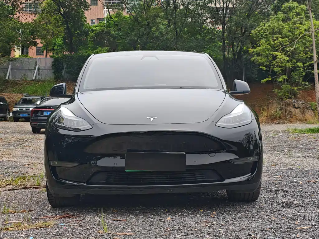 Tesla Model Y — фото 2