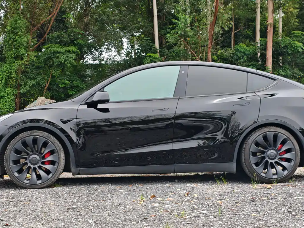 Tesla Model Y — фото 3