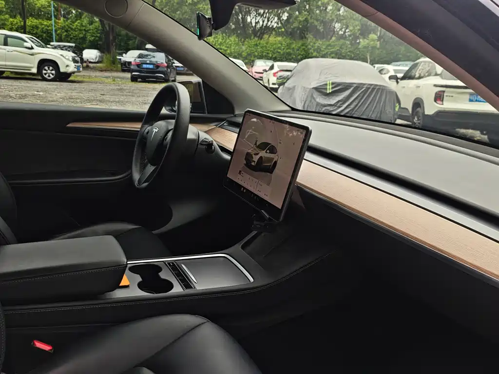 Tesla Model Y — фото 23