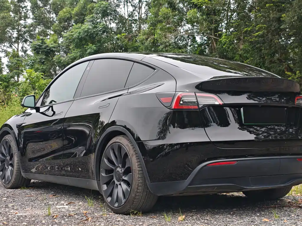 Tesla Model Y — фото 4