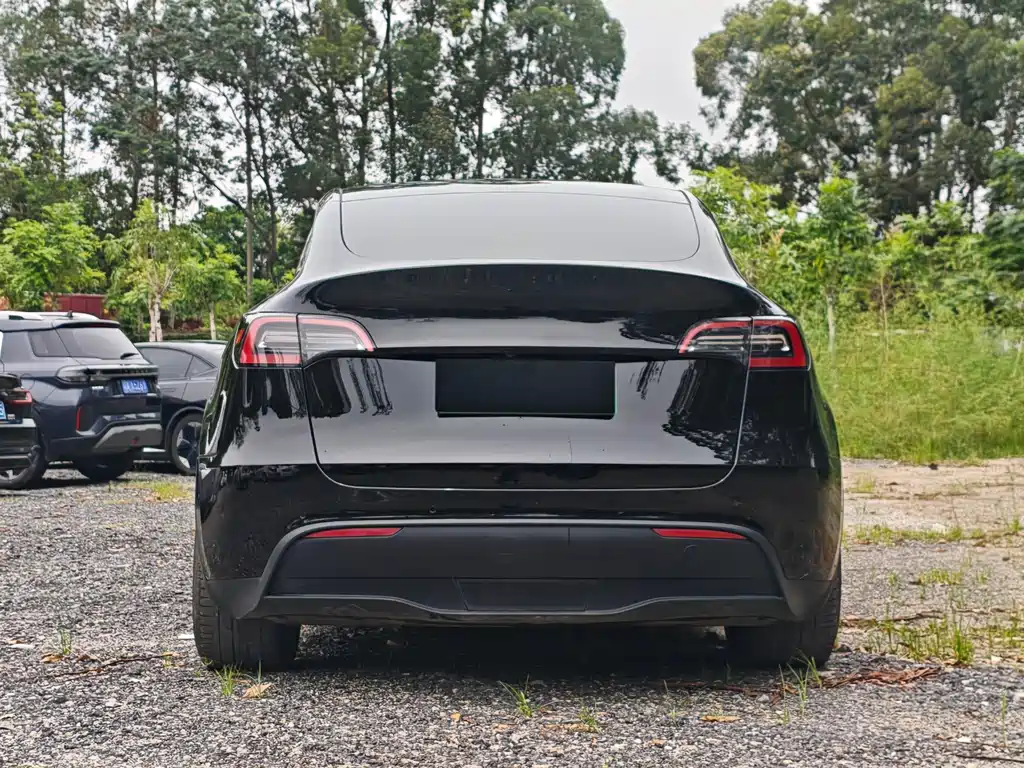 Tesla Model Y — фото 5