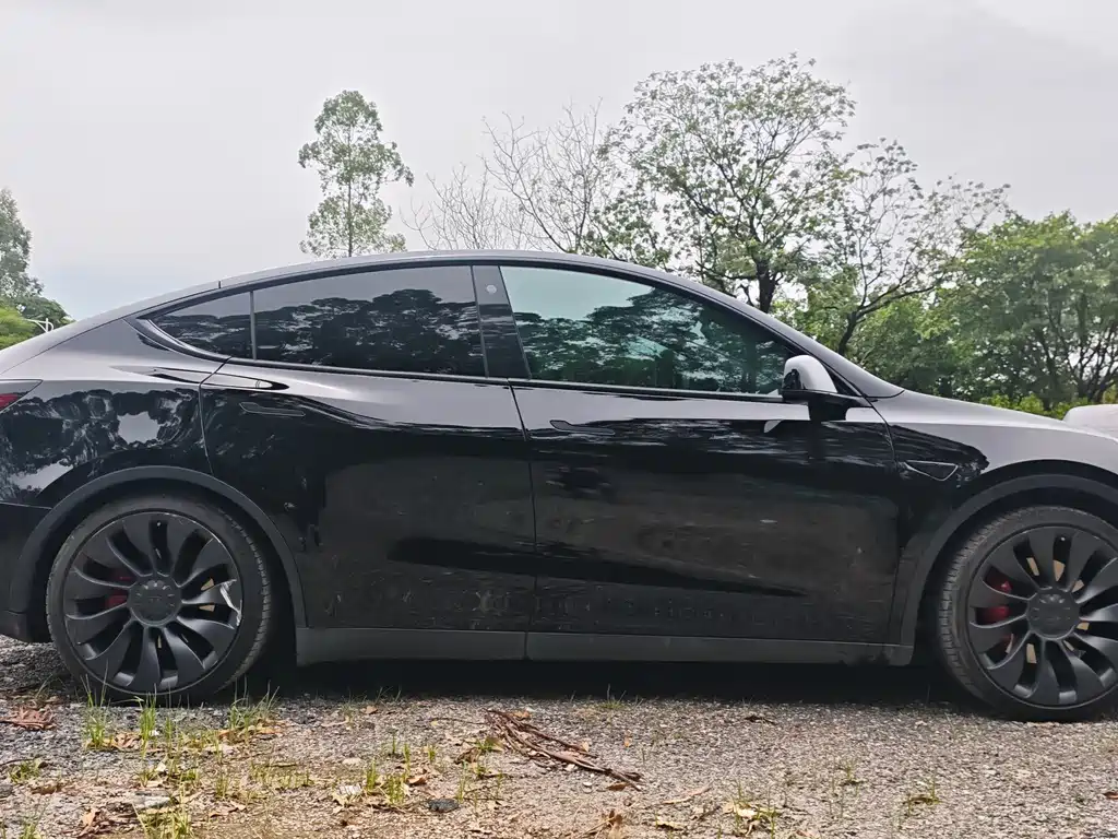 Tesla Model Y — фото 7