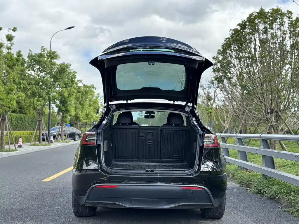 Tesla Model Y — фото 3