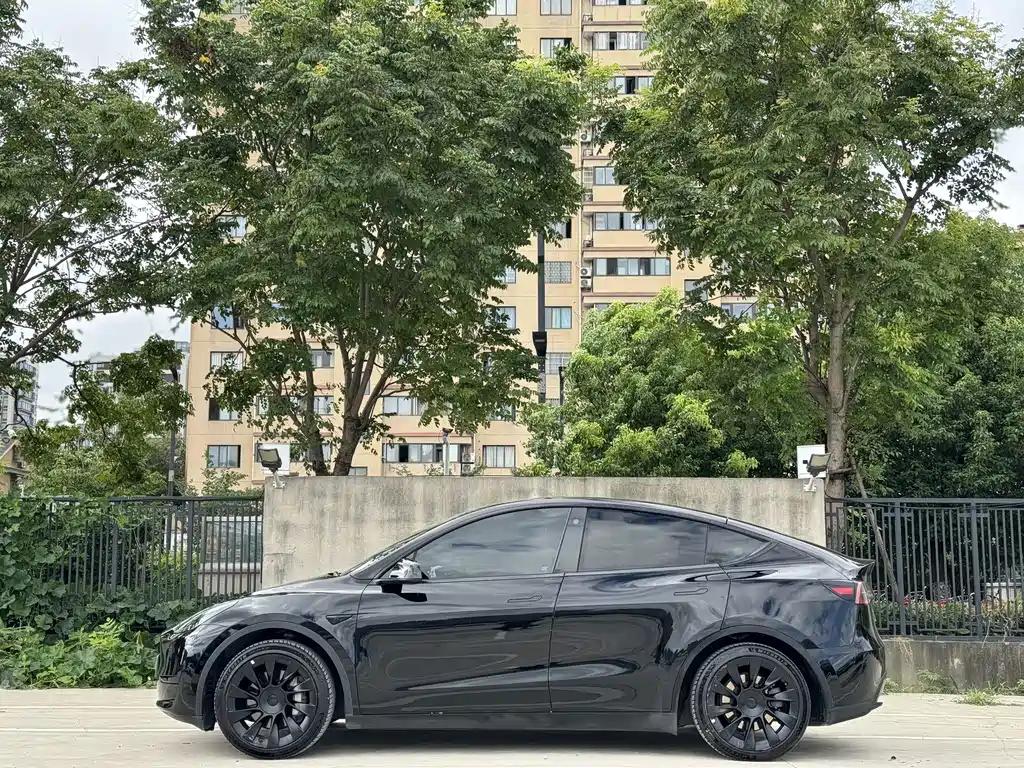 Tesla Model Y — фото 4