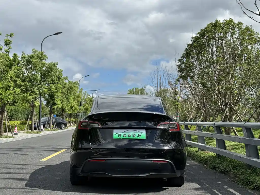 Tesla Model Y — фото 5