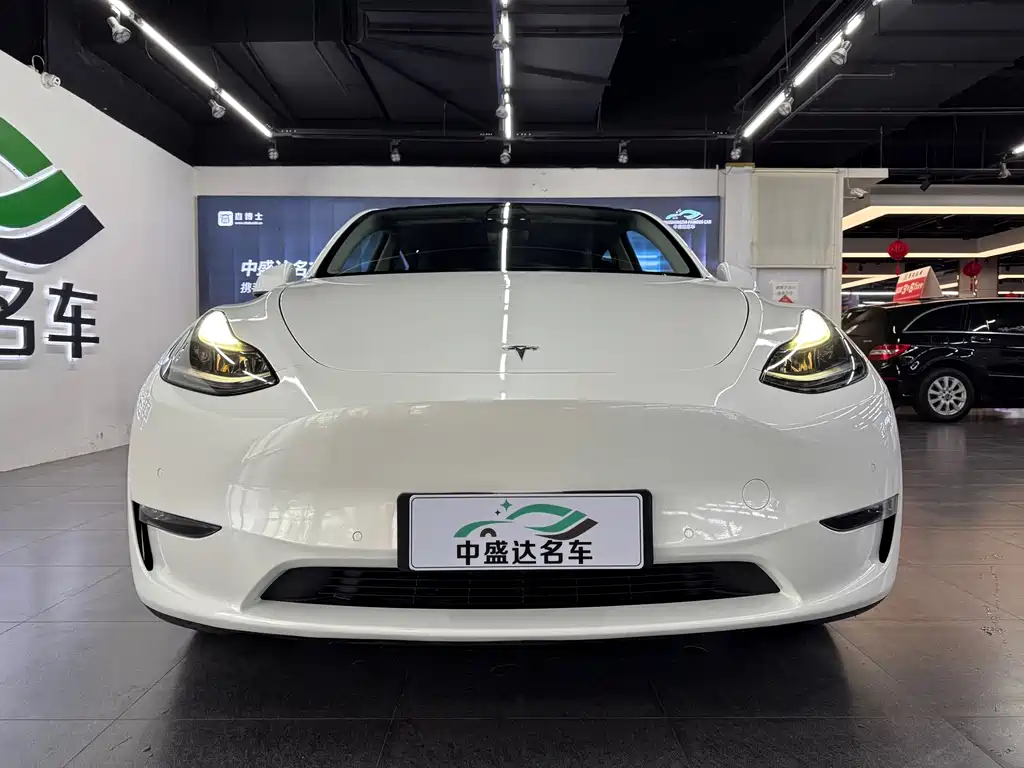 Tesla Model Y — фото 2