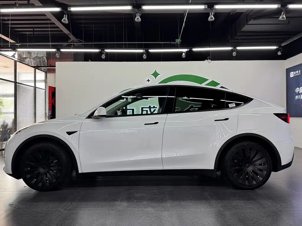 Tesla Model Y — фото 3