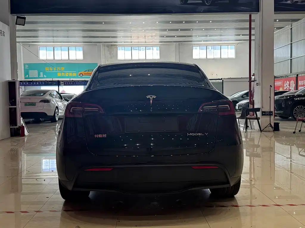 Tesla Model Y — фото 5